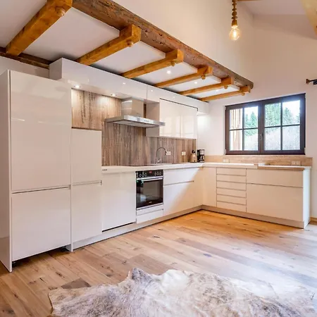 Appartement Biber Art 1 Biberwier