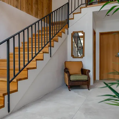 Biber Art 1 * Biberwier